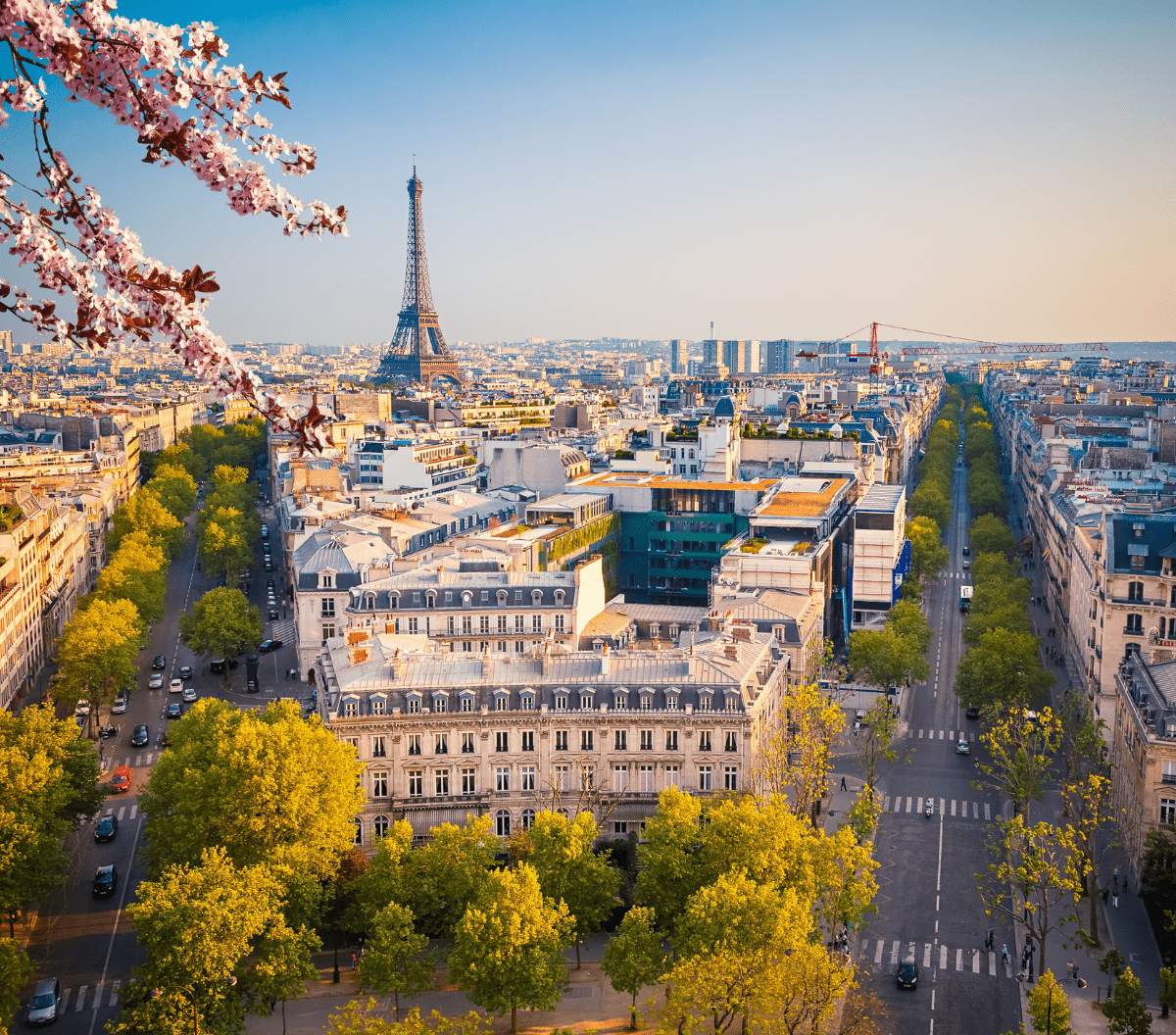 Vue de Paris avec la Tour Eiffel au loin, des rues bordées d'arbres, des bâtiments classiques et des cerisiers en fleurs au premier plan sous un ciel bleu clair.